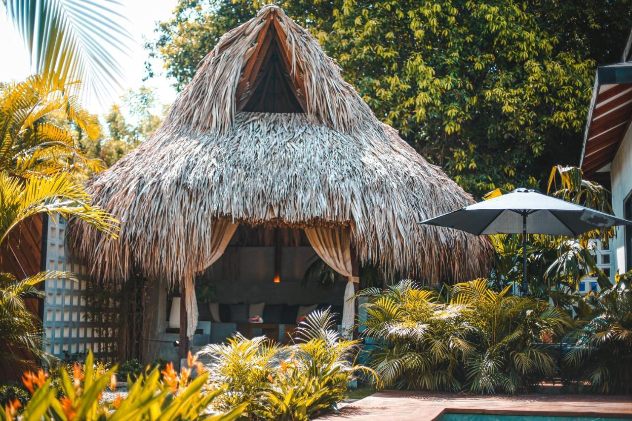 Mapuwi Villa & Suite Palomino Extérieur photo